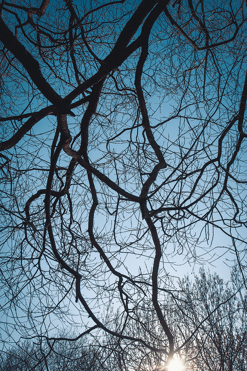 КАТЯ. ПРОГУЛКА. Фотосессии. Свадебная, студия, портрет. Ваш фотограф в Санкт-Петербург