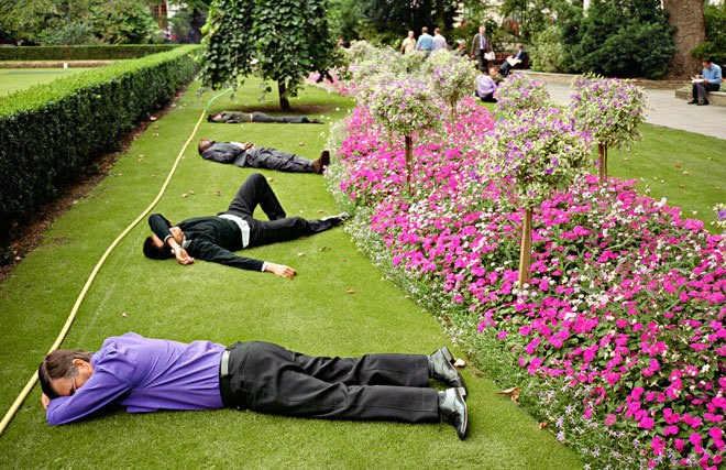 Композиция кадра. Семейный и свадебный фотограф в Майкопе Михаил Мартиросян