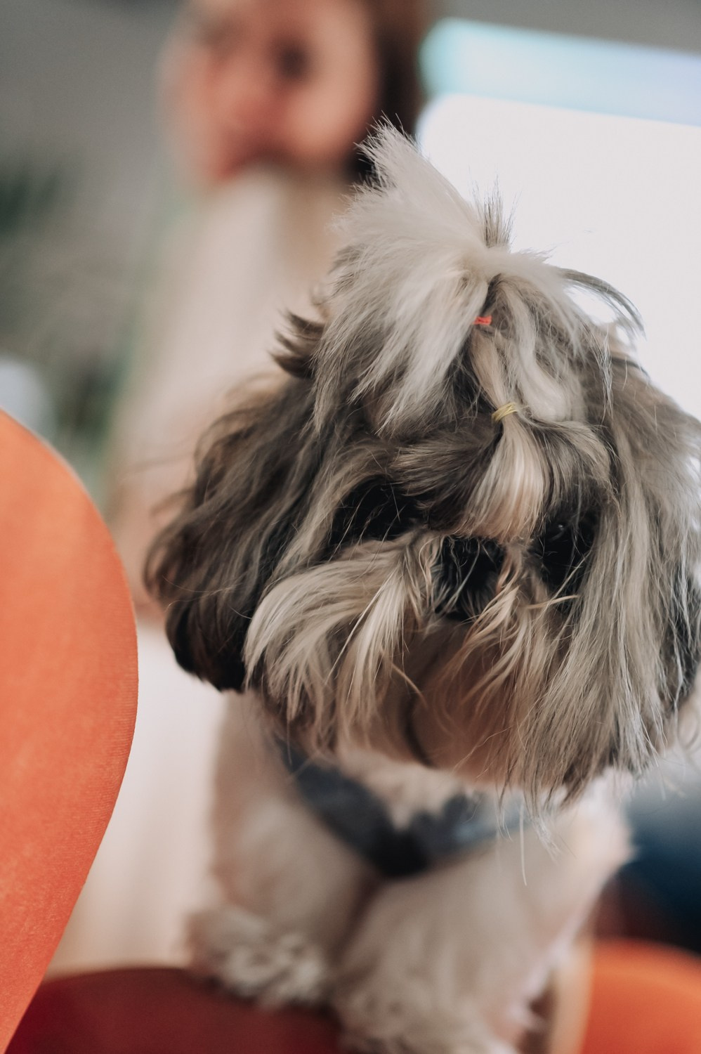 Ужин в ресторане Магадан. Night2Day Санкт-Петербург