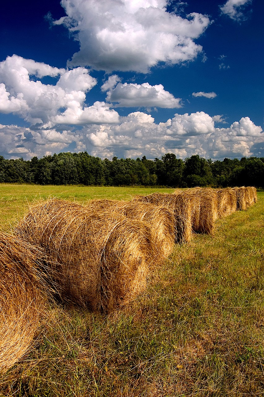 РАЗНОЕ. Андрей Пономарёв