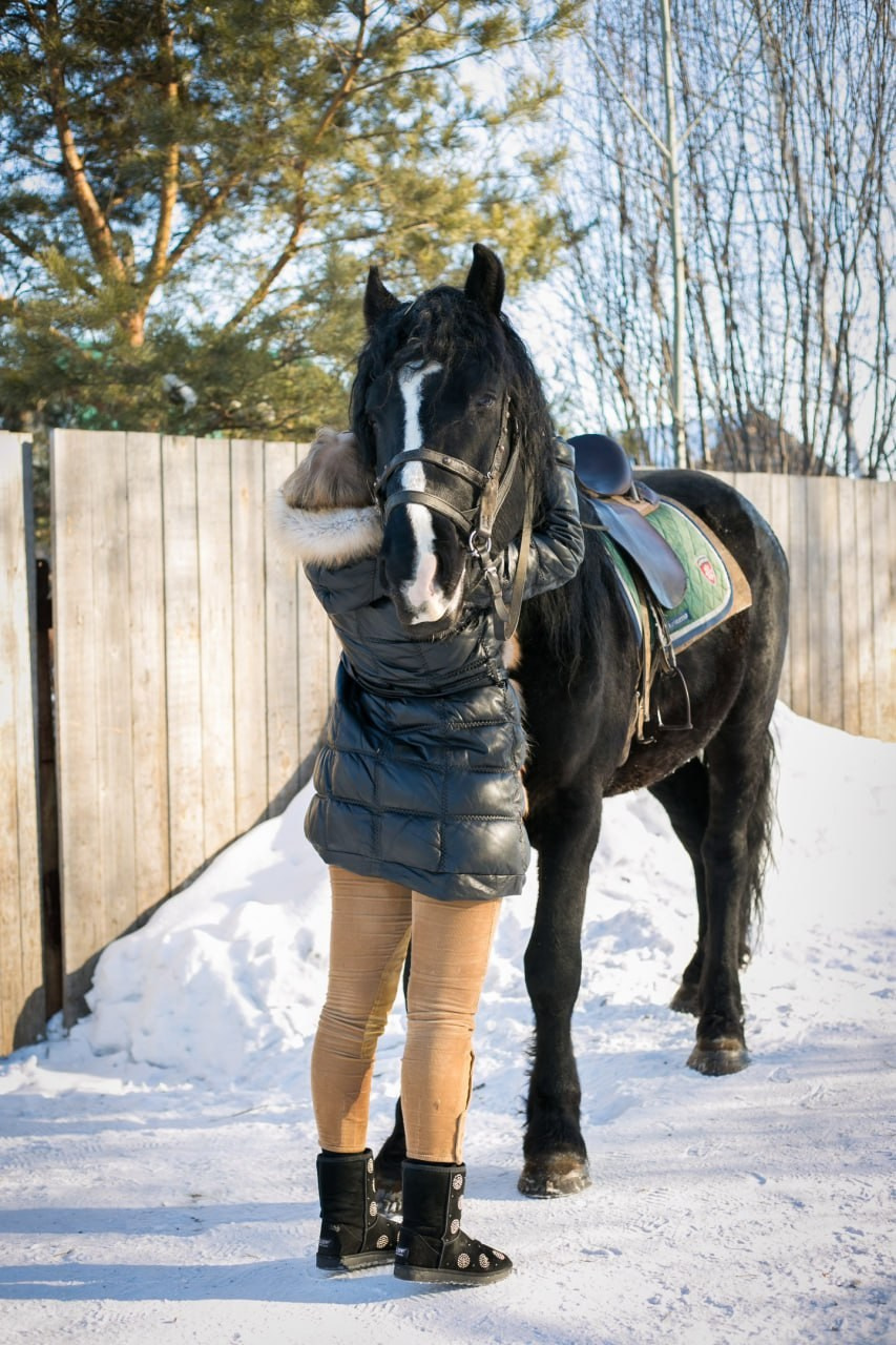 Фотосессии в Анкоре. Конные прогулки в клубе «Анкор» — Омск