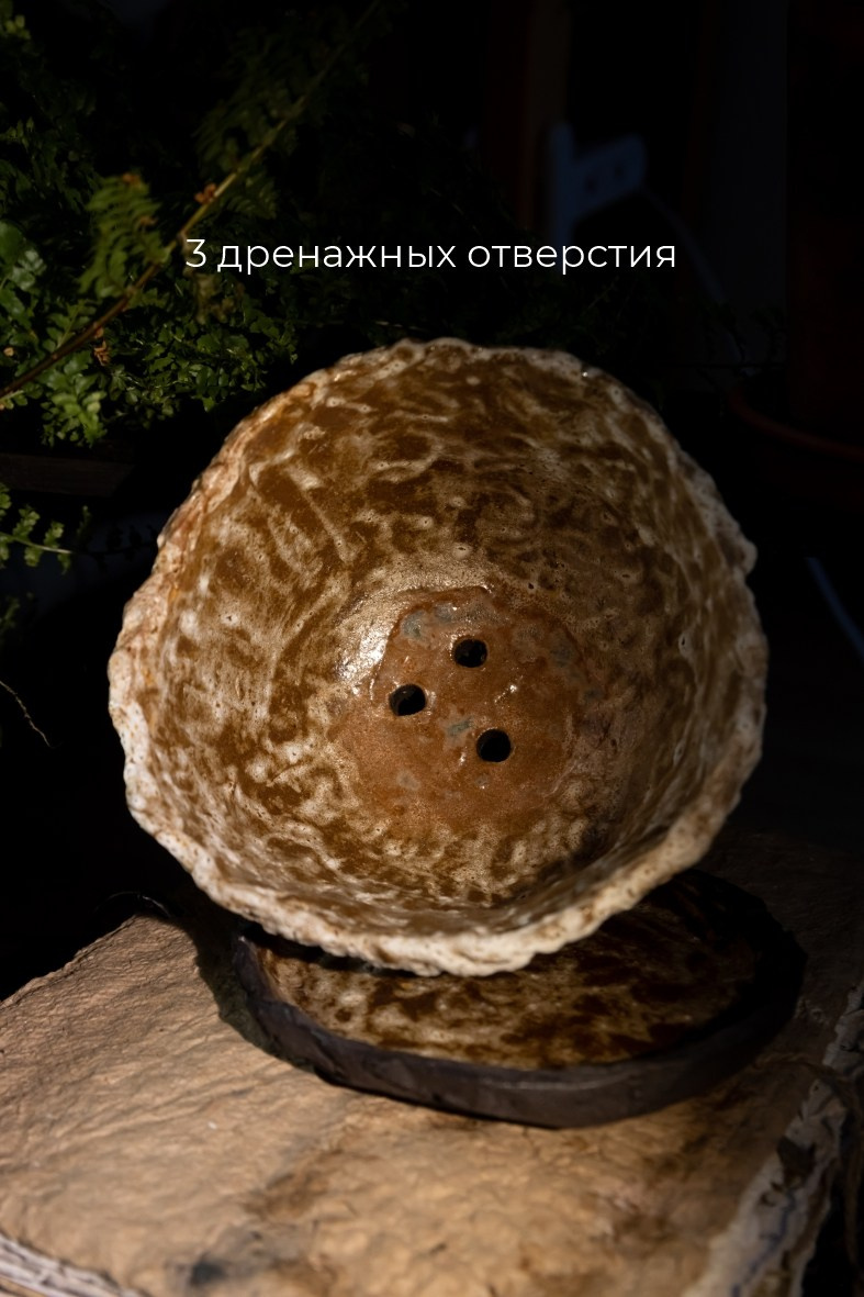 Широкий горшок 2500 р. Катя Цвет