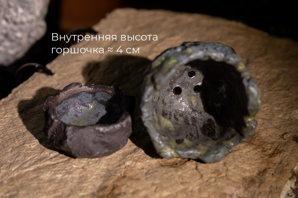 Маленький горшочек 500 р. Катя Цвет