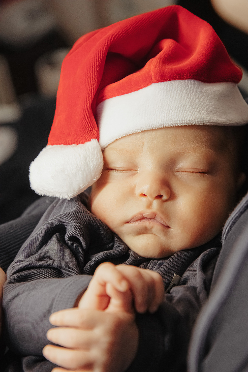 Семейные. Фотограф Ксения