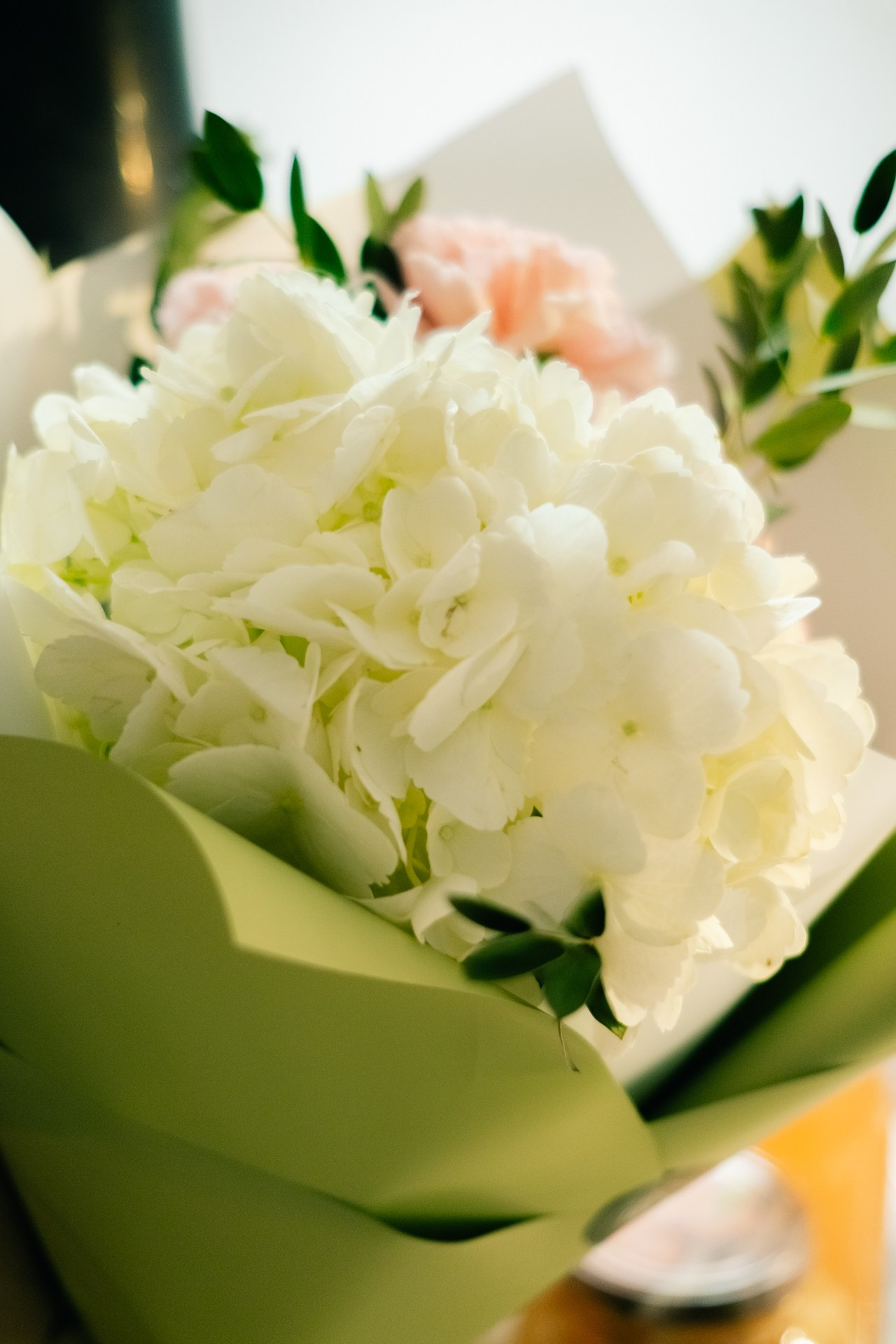 День рождения в «Доме на воде». Портретный фотограф Алина Хаунина