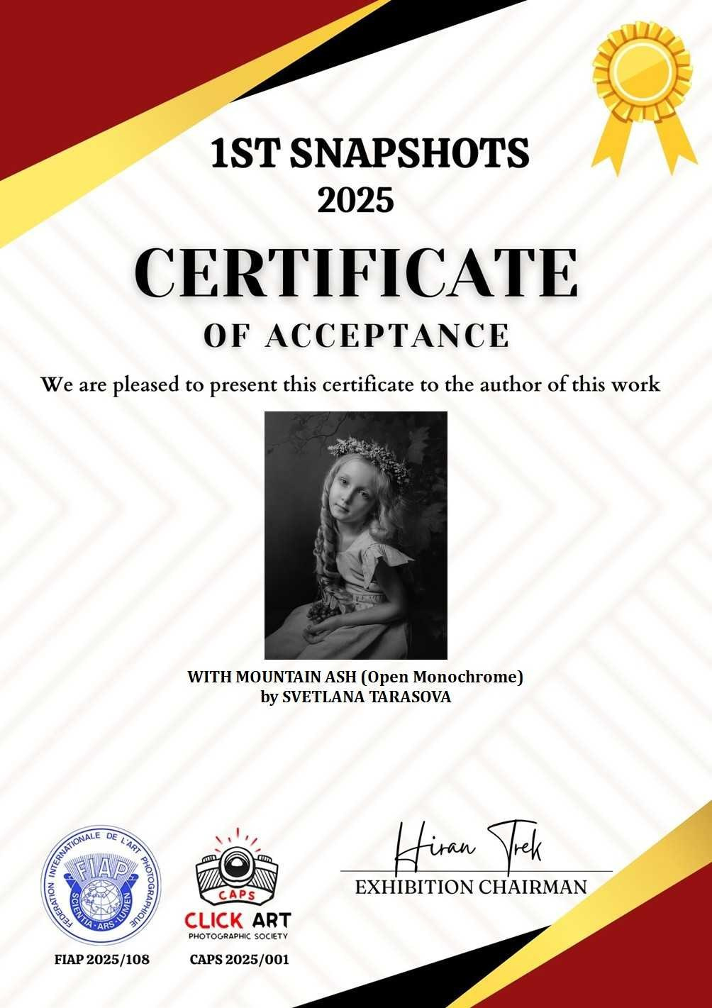 МОИ НАГРАДЫ И ПУБЛИКАЦИИ. Детский и семейный фотограф в Санкт-Петербурге Светлана Тарасова