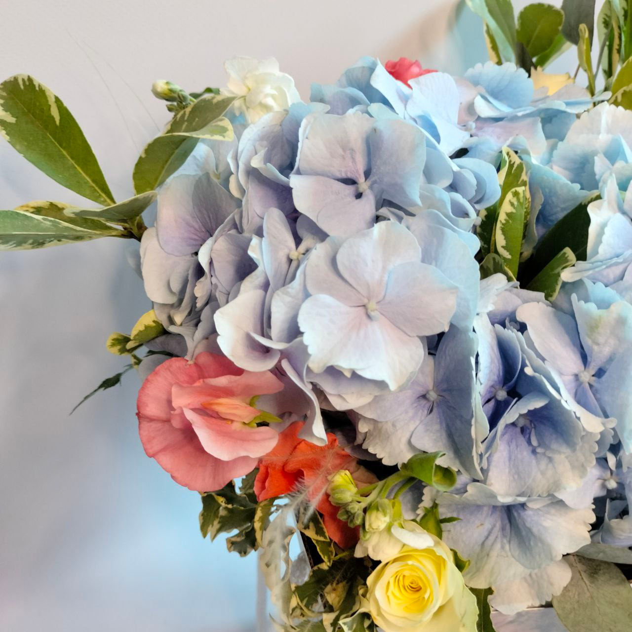 лёгкие соцветия Стифа.;- матиолла.;- роза Пента сортовая (Кения).;- роза Кахала (Кения).;- питоспорум (2 вида).;- эвкалипт.;- Латирус Парфюм Рэд. гортензия Голландия. композиция в шляпной коробке. композиция из цветов. цветы в коробке.