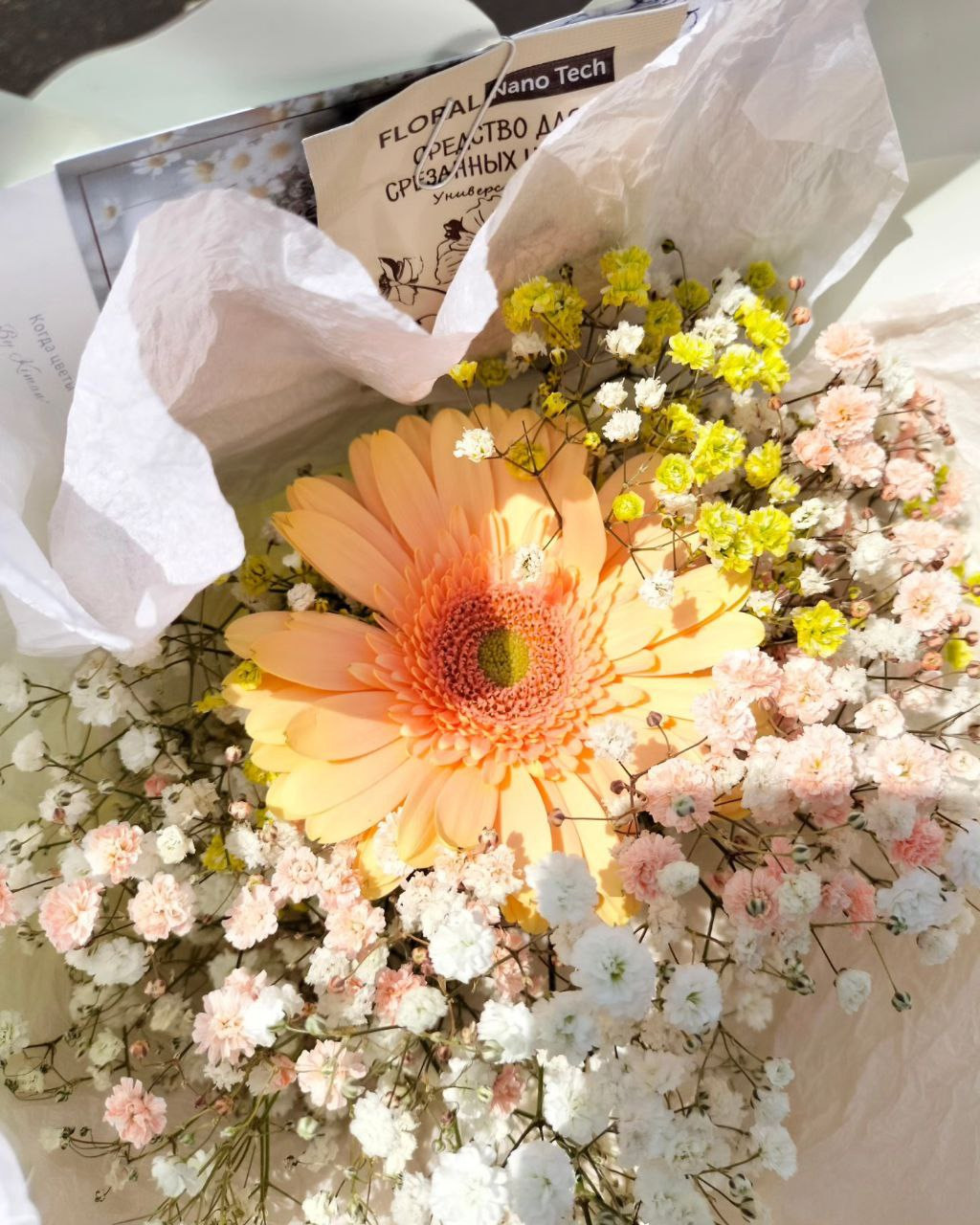 гербера, гипсофила, разноцветная гипсофила, радужная гипсофила, корпоративный заказ, корпоративный букет