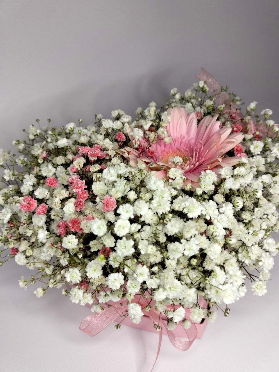 гербера, гипсофила, разноцветная гипсофила, радужная гипсофила