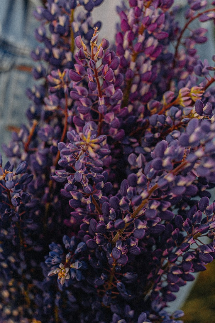 <3. Портретный и Семейный фотограф в Санкт-Петербурге Rocket Alice