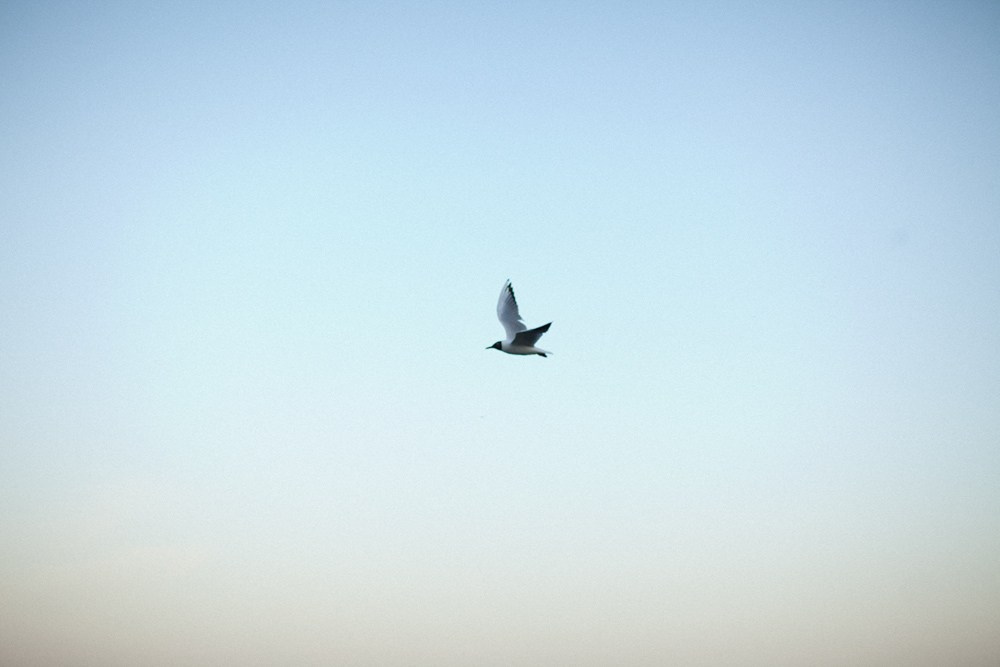 HATS. Арт-фотограф и преподаватель Анна Гражданкина