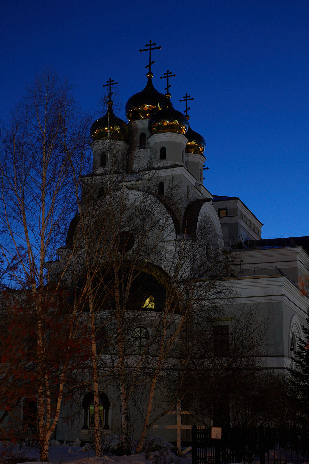 НАШИ ФОТО. Владимир Власюк