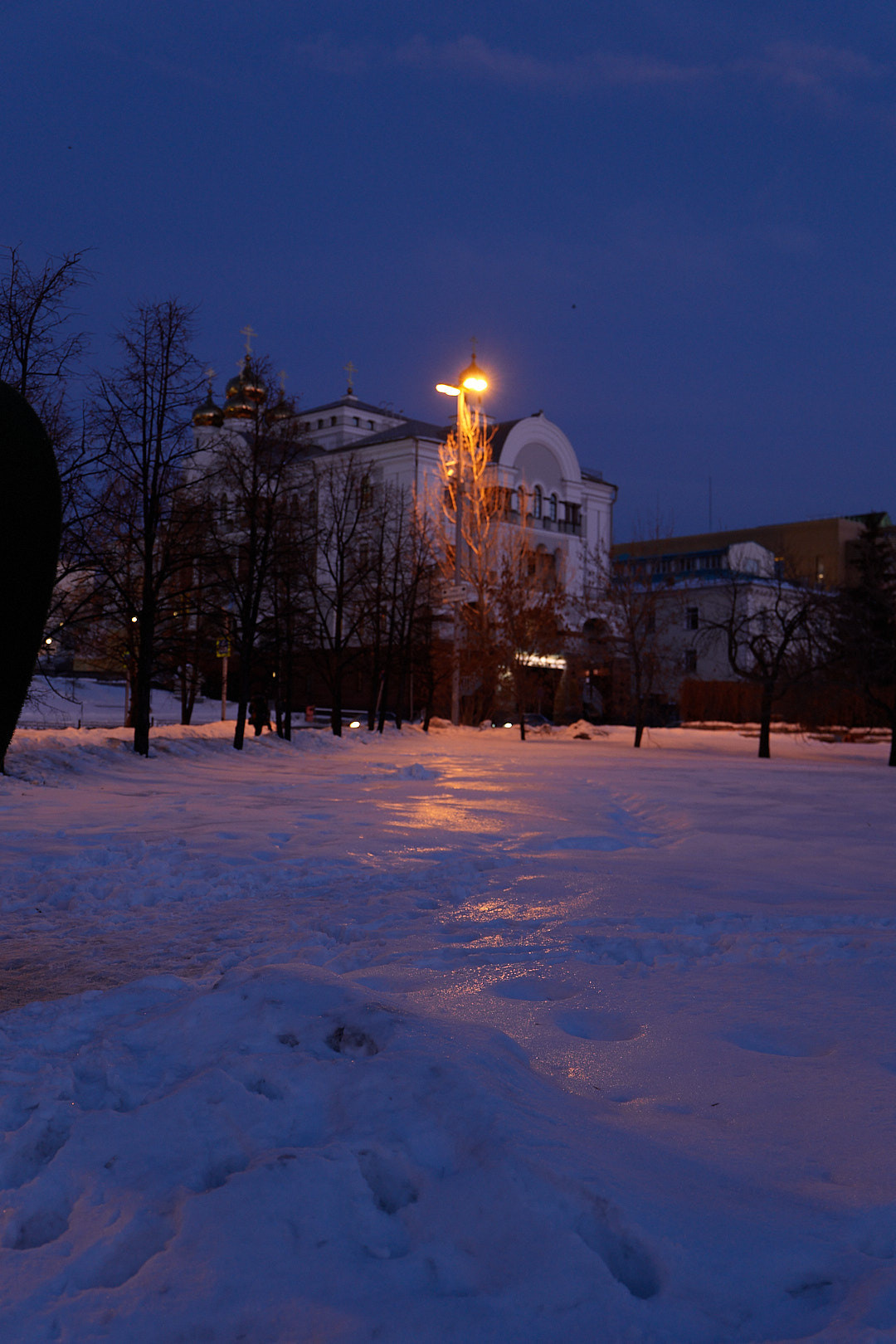 НАШИ ФОТО. Владимир Власюк