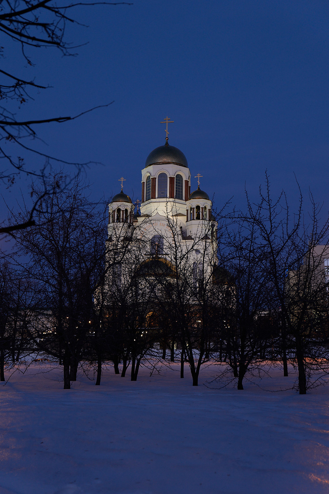 НАШИ ФОТО. Владимир Власюк