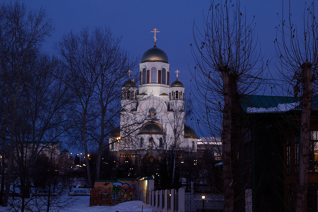 НАШИ ФОТО. Владимир Власюк
