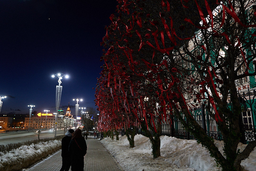 НАШИ ФОТО. Владимир Власюк