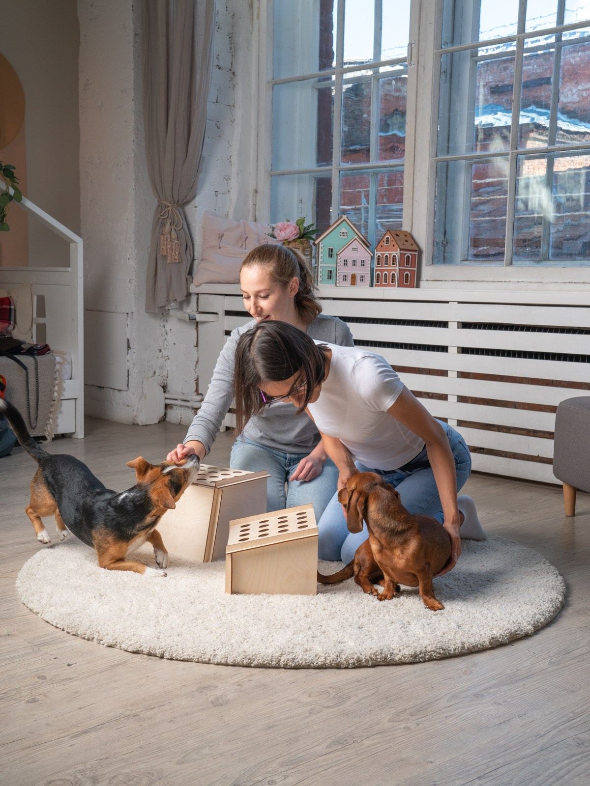 Съемки с животными. КЕД Студия-контент агентство полного цикла СПБ. Создаём фото, видео и контент, который помогает брендам и селлерам продавать больше