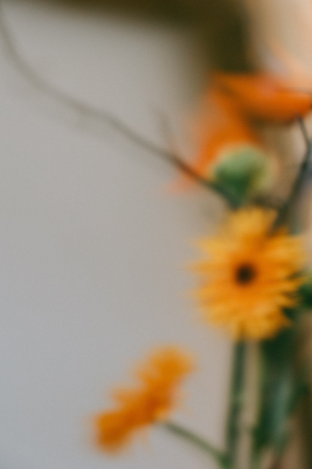 It’s a BOY 💙. Фотограф Нижний Новгород