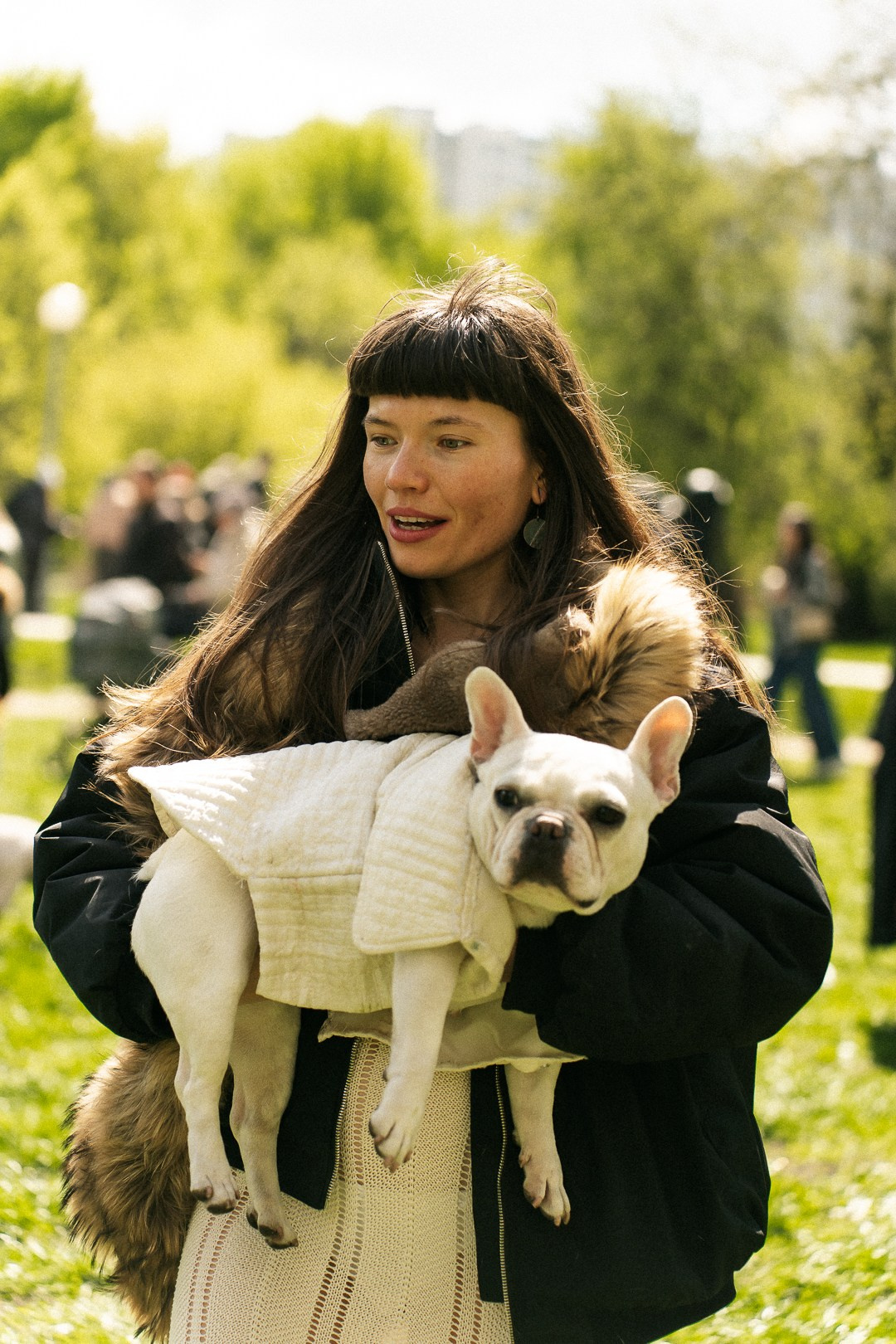 Парад Бульдогов. Axenov_eugene