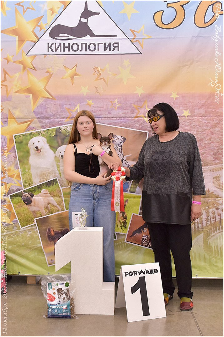 Репортаж. Фотограф анималист | семейный Юлия Вакуленко, г. Краснодар