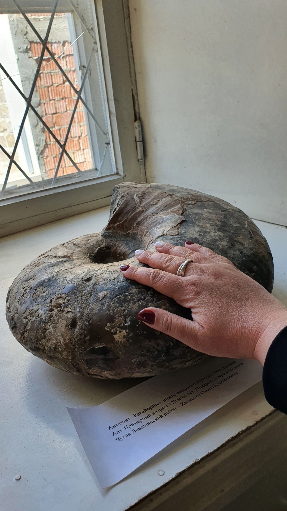 Дагестан: легенды о воине и о поэте