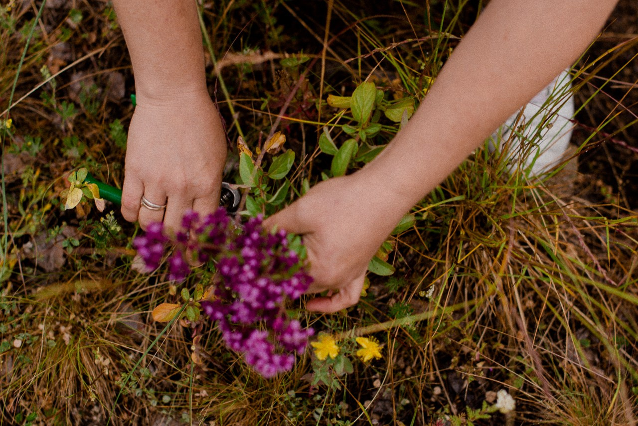 Травяные сборы. Портретный и семейный фотограф Магнитогорск Евгения Ионова