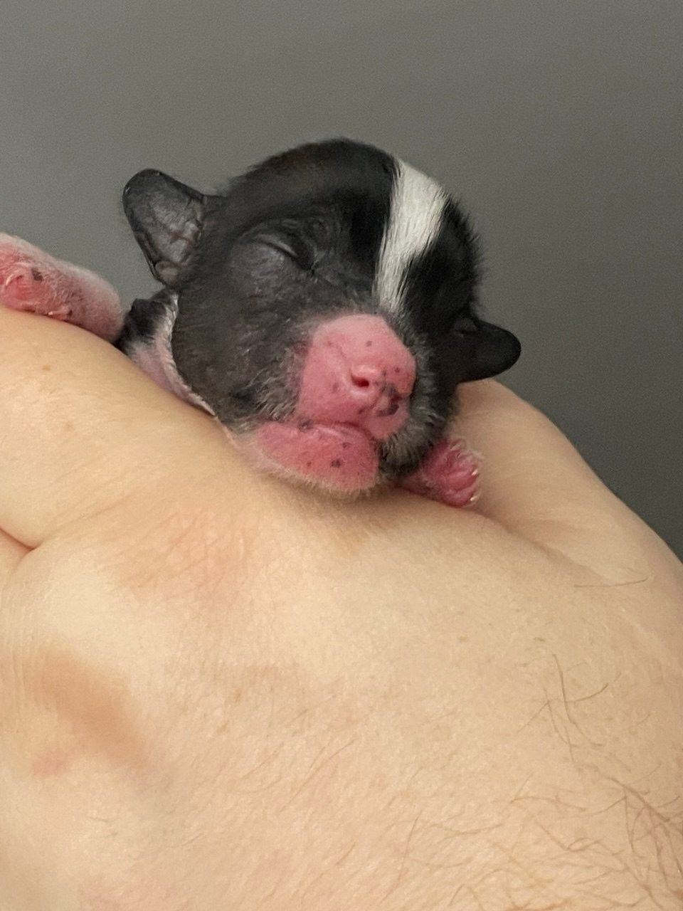 6-й день. Poale Ell Deniz