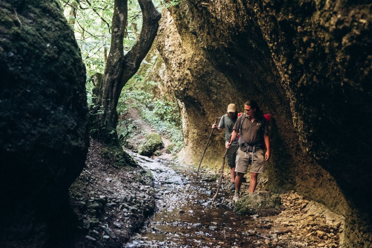 Биртвиси, Грузия 🇬🇪 «Honey Trip». Anita_photo