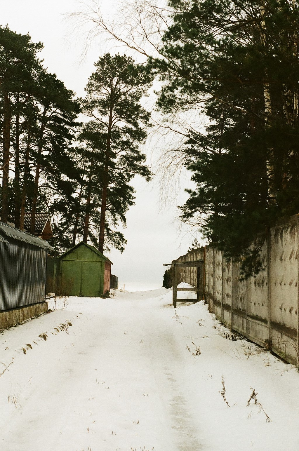 Пленочная хроника. Фотограф-любитель Ксения Мирзоян