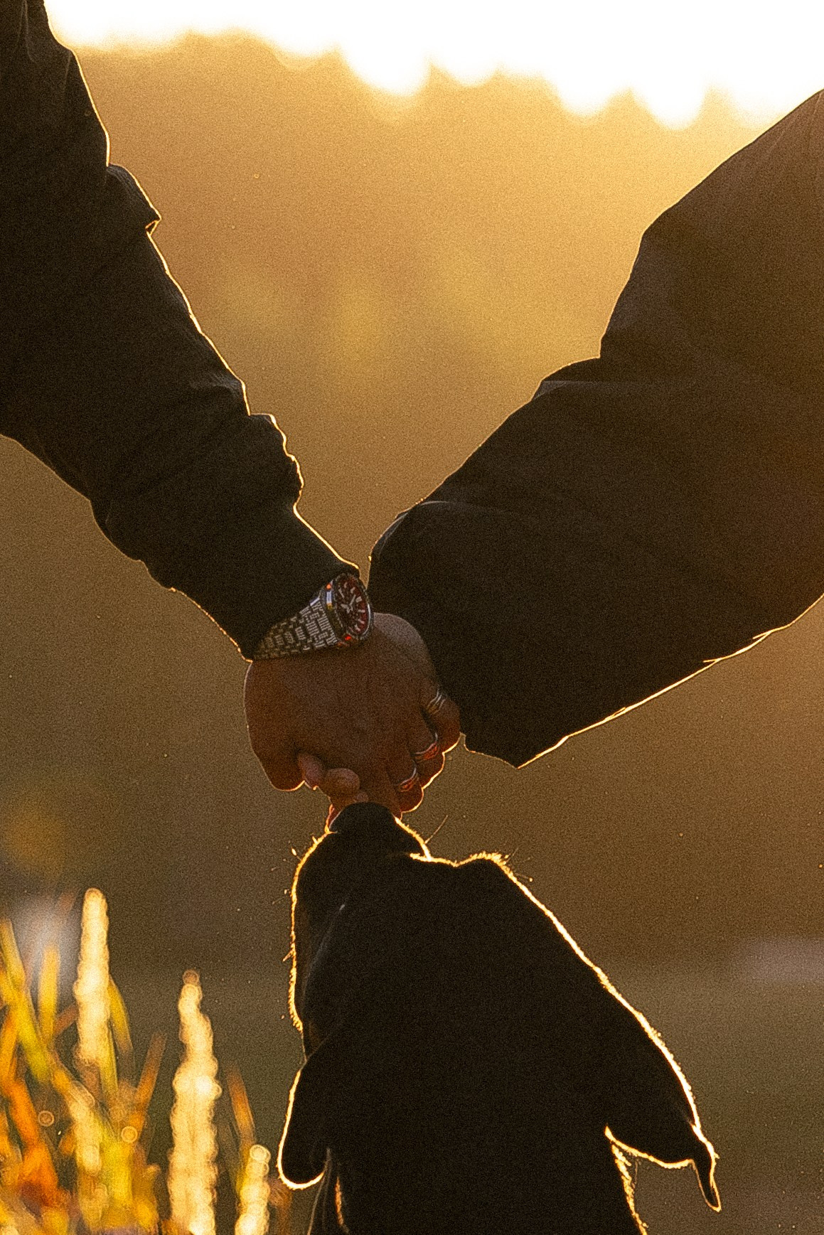 Катя, Леша, Лея и Трой. Фотограф и видеограф анималист Аганина Дарья