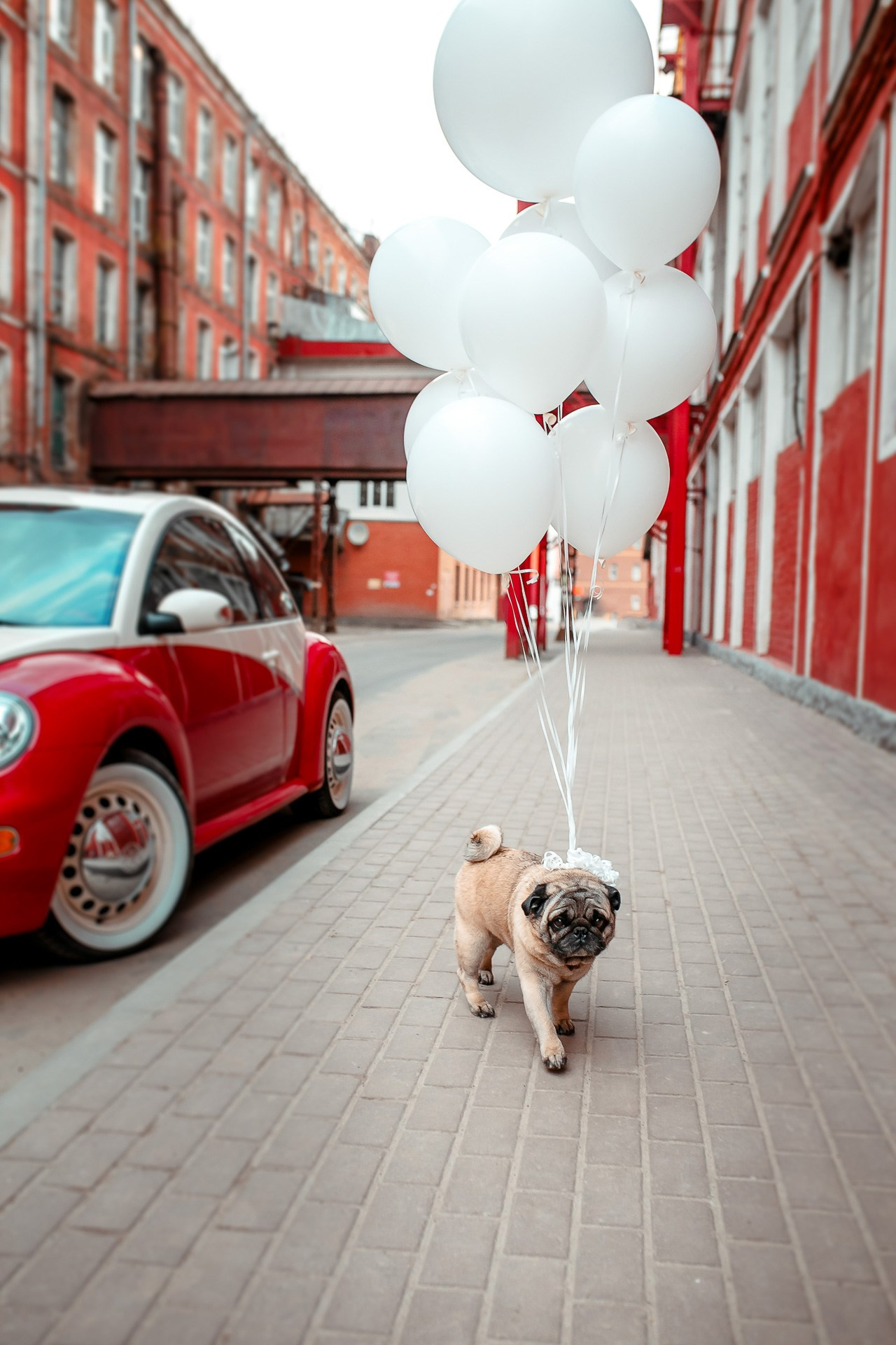 Бизнес портрет Блогер. Фотосъёмка для бизнеса — предметное фото, репортаж с мероприятий, портреты людей, съёмка интерьера и экстерьера