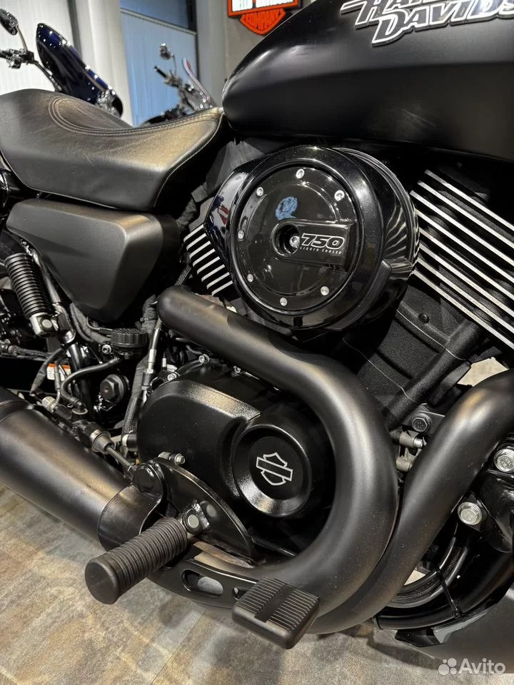 Купить Harley-Davidson 2017 HD Street Rod ABS — подробнее на сайте. Hello Davidson, Москва. Только хорошие мотоциклы…