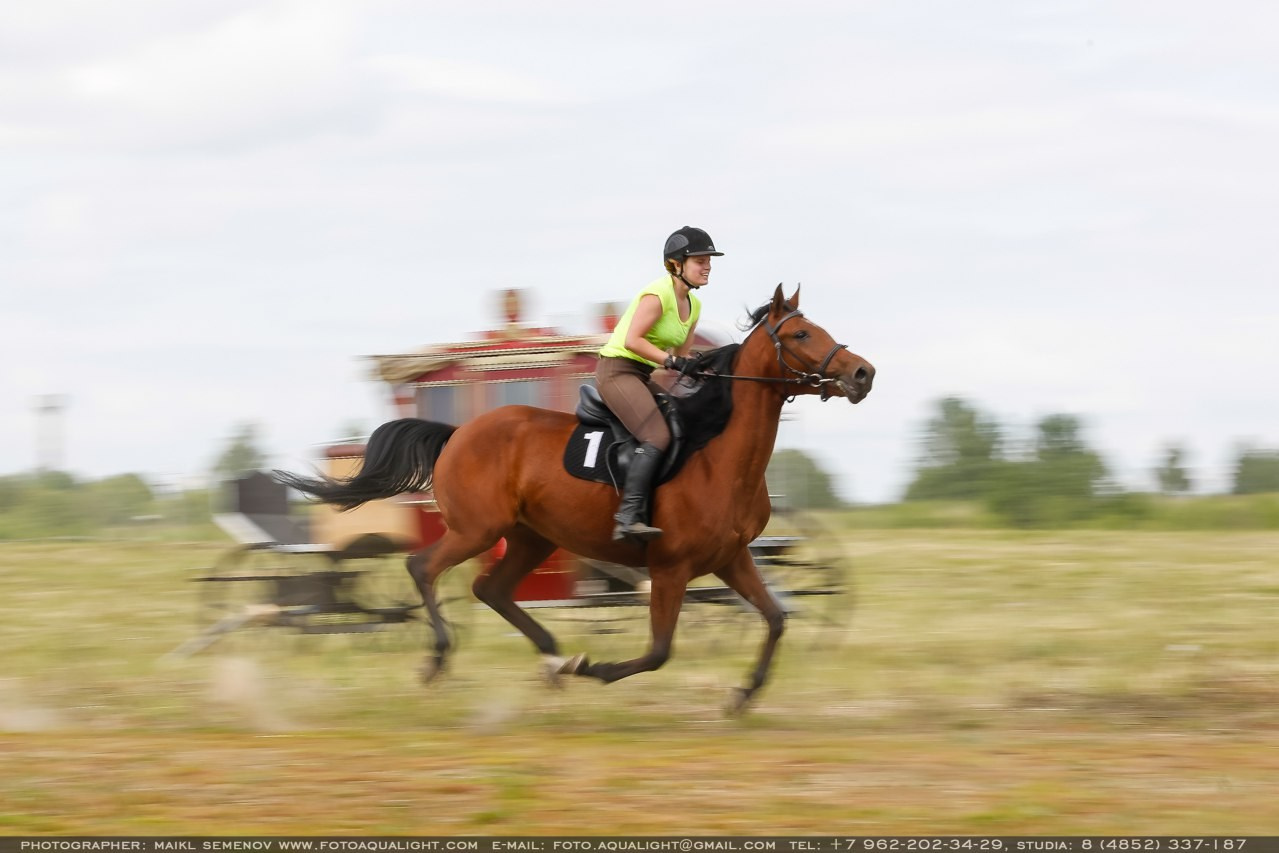 PHOTOServices for business and promotion. Photographer for business Mikhail Semenov. Aqua photo studio, photo school