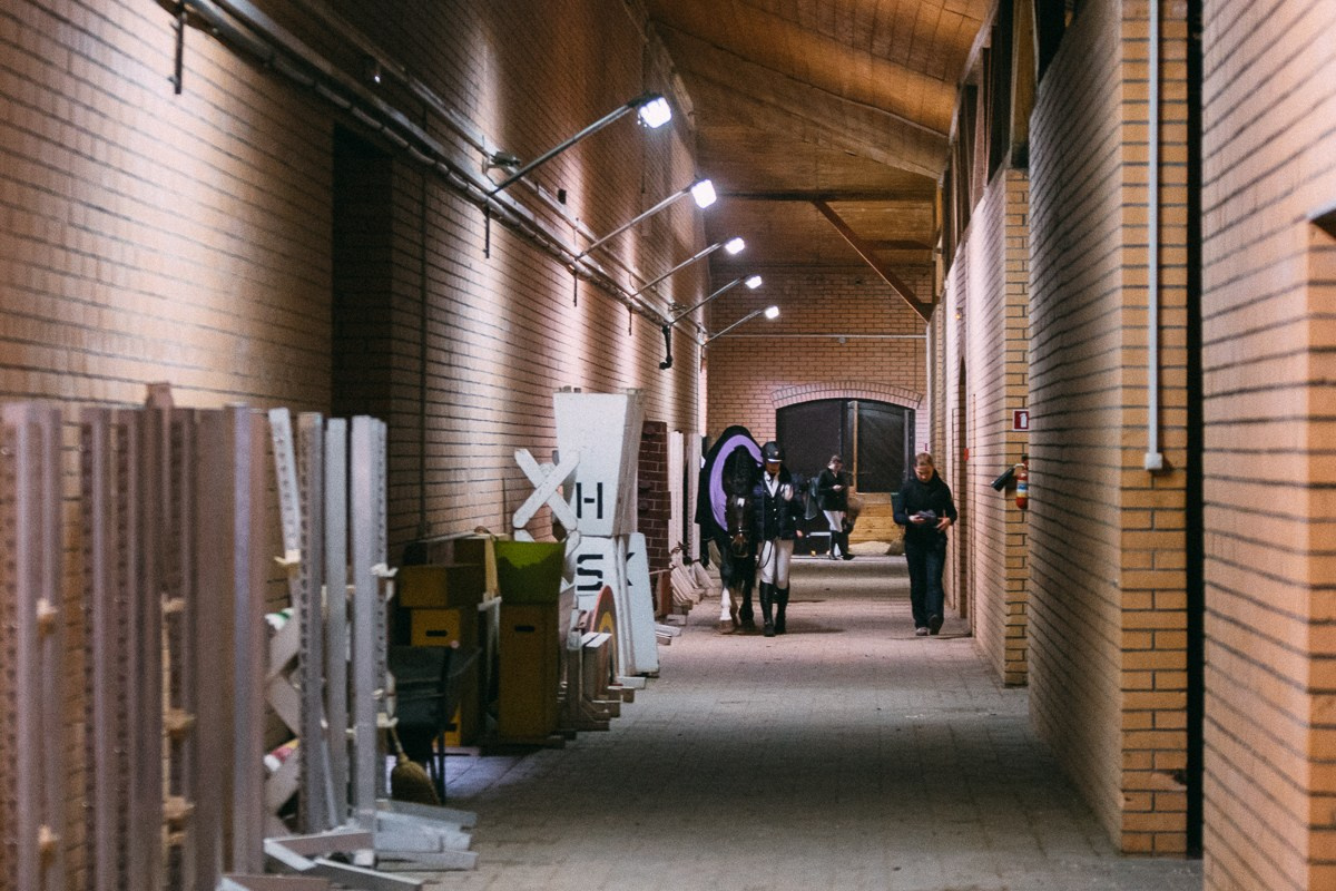 Выездка КСК «Дерби». Репортажный и семейный фотограф в Санкт-Петербурге Тарас Марченко