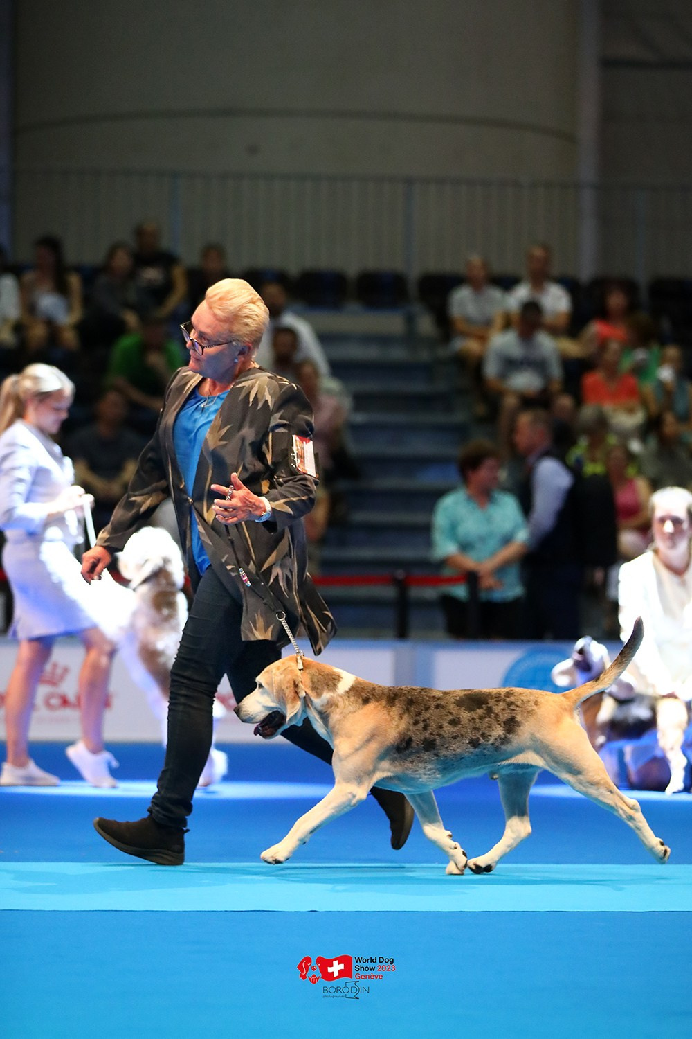 24-27.08.2023 WDS Geneva. Фотограф Дмитрий Бородин