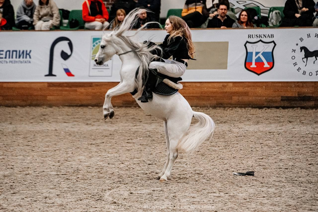 КОННАЯ РОССИЯ 2024. Конный фотограф Куракина Дарья • Фотосессии с лошадьми