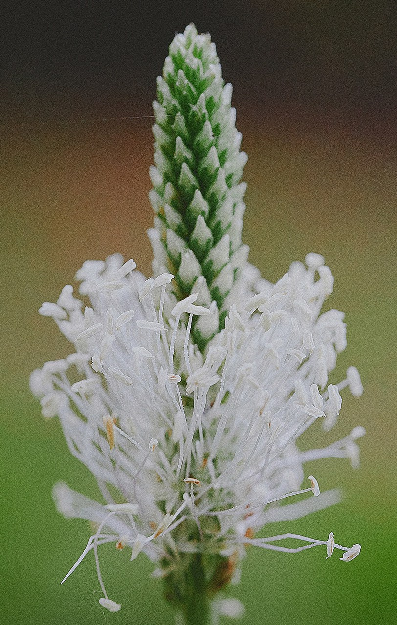 Международная онлайн-фотошкола Сергея Рожнова