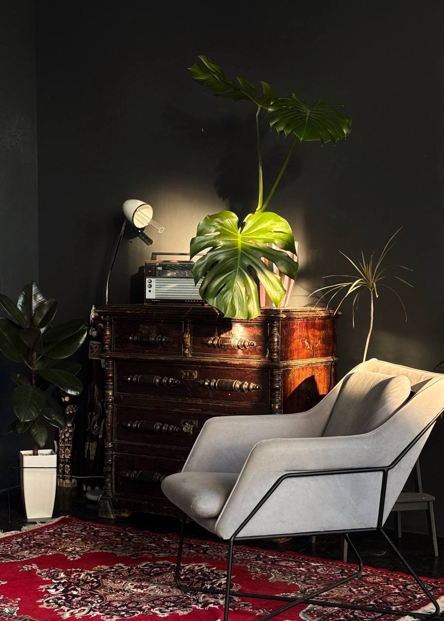 Фотостудии г.Липецк. Фотограф Екатерина Лёвушкина