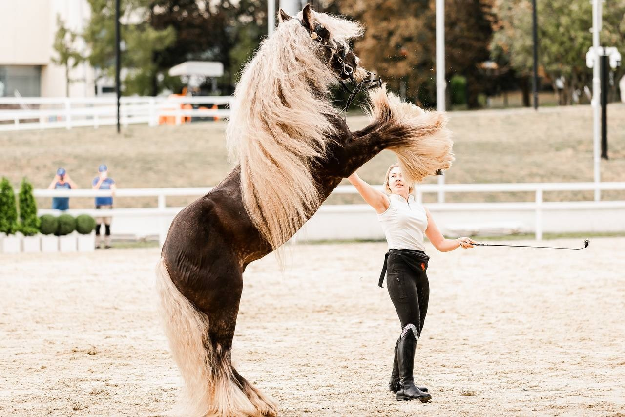 ЭКВИРОС 2024. Конный фотограф Куракина Дарья • Фотосессии с лошадьми
