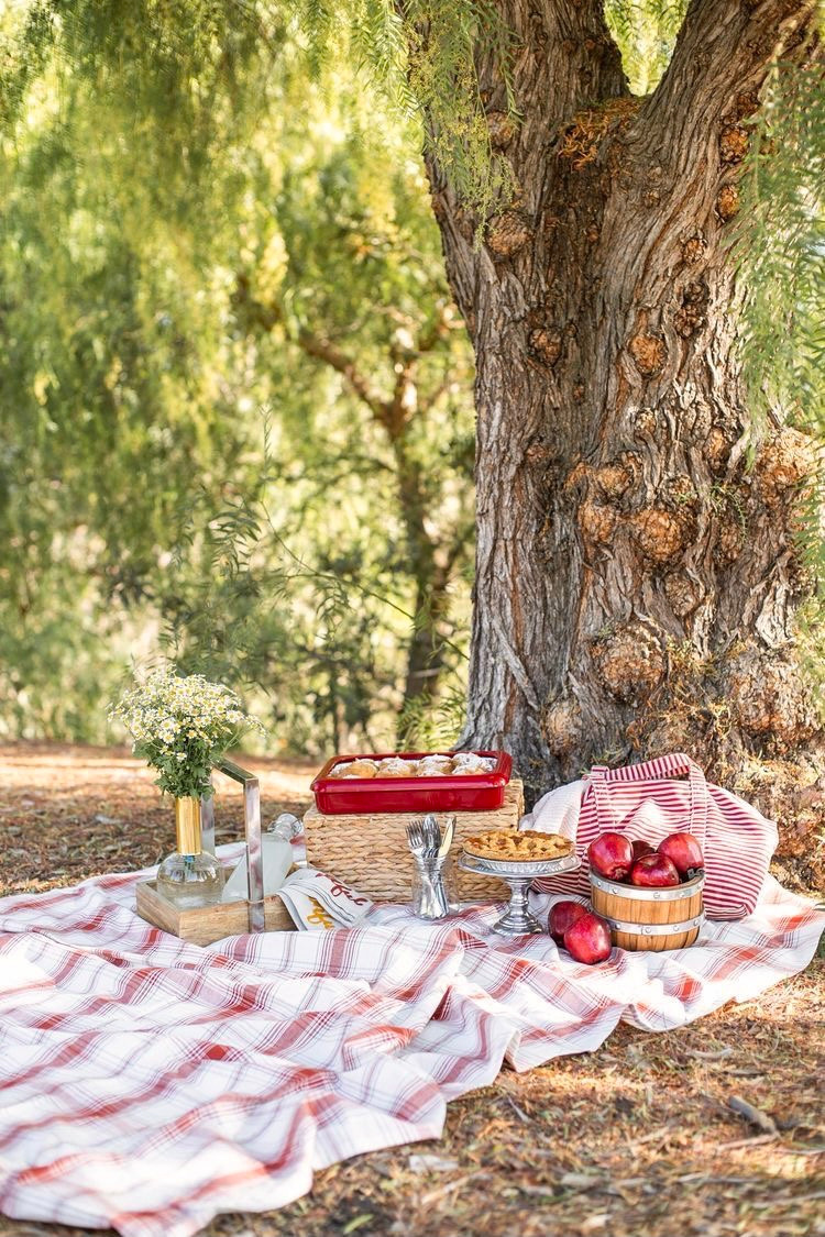 Фотосессия в цветущем саду. Женский и семейный фотограф Светлана