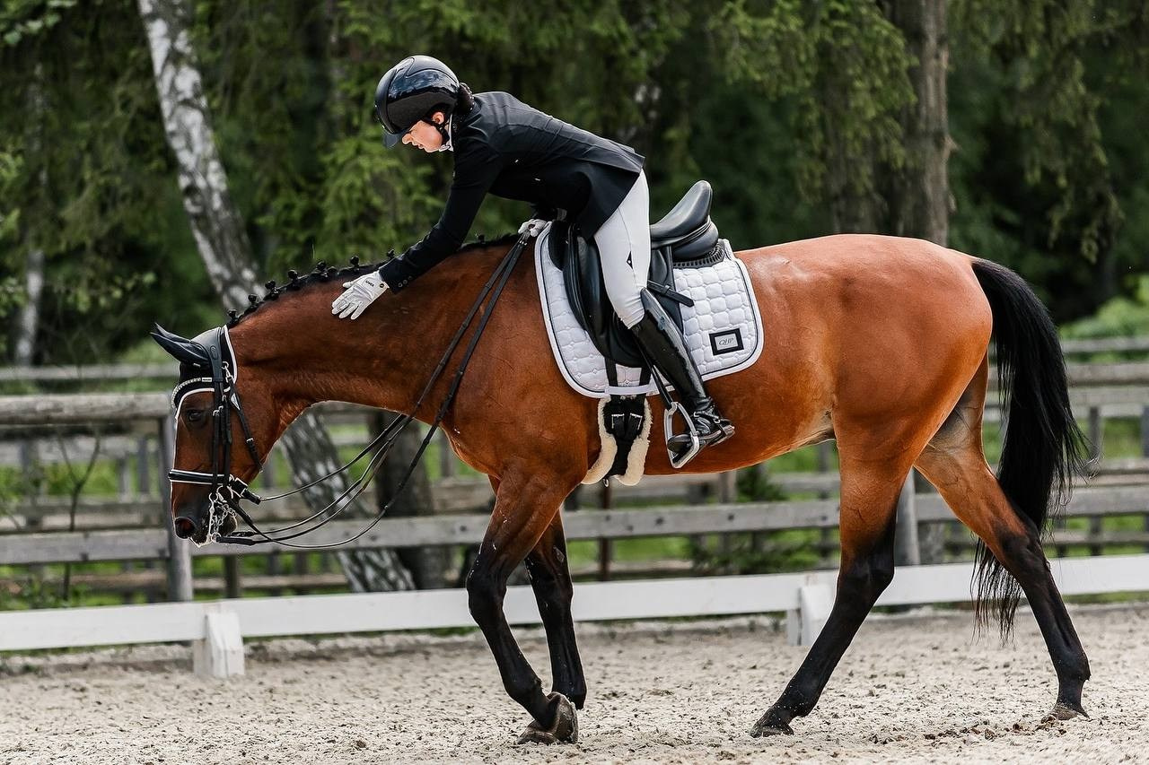 Четвертый этап КУБКА КСК «АЛМАЗОВО» по ВЫЕЗДКЕ. Конный фотограф Куракина Дарья • Фотосессии с лошадьми