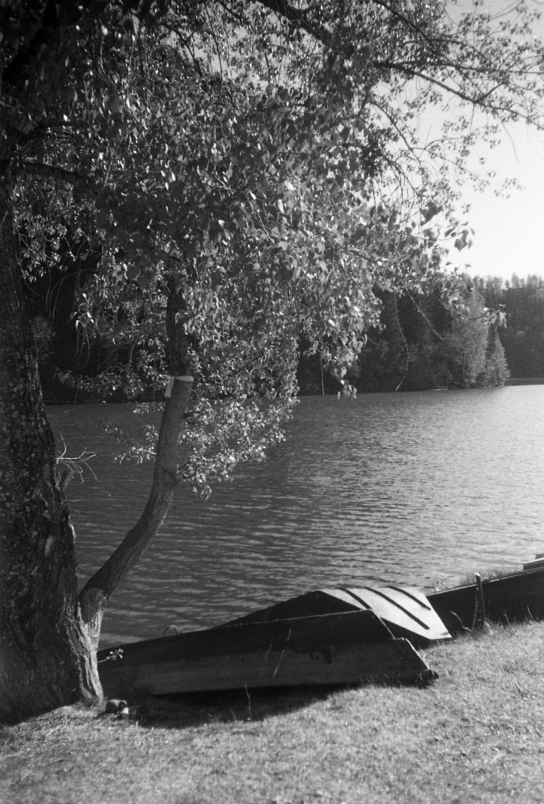 Обо мне. Anastasia N | Фотограф Челябинск