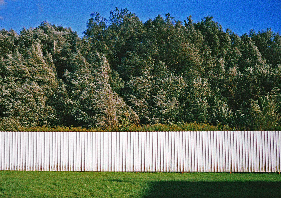 Коллекция акцион кости. Акцион Кости - это игра на произведения искусства