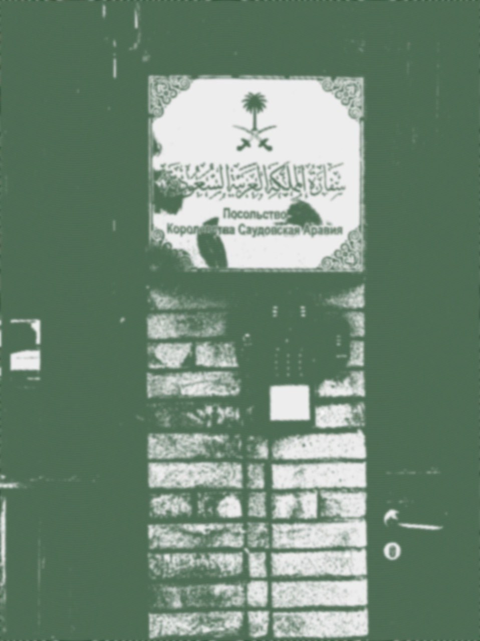 Мила Нишатова