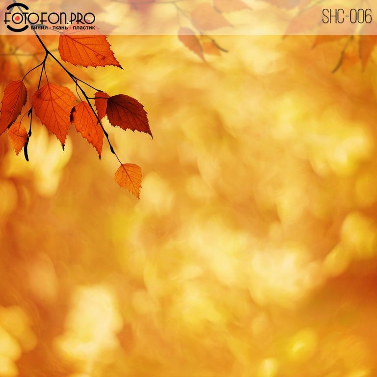 Фон стена "Первое сентября" 1,2х1,2 м