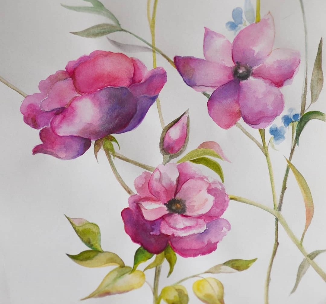 Бумага, акварель,  30×30 см 40€