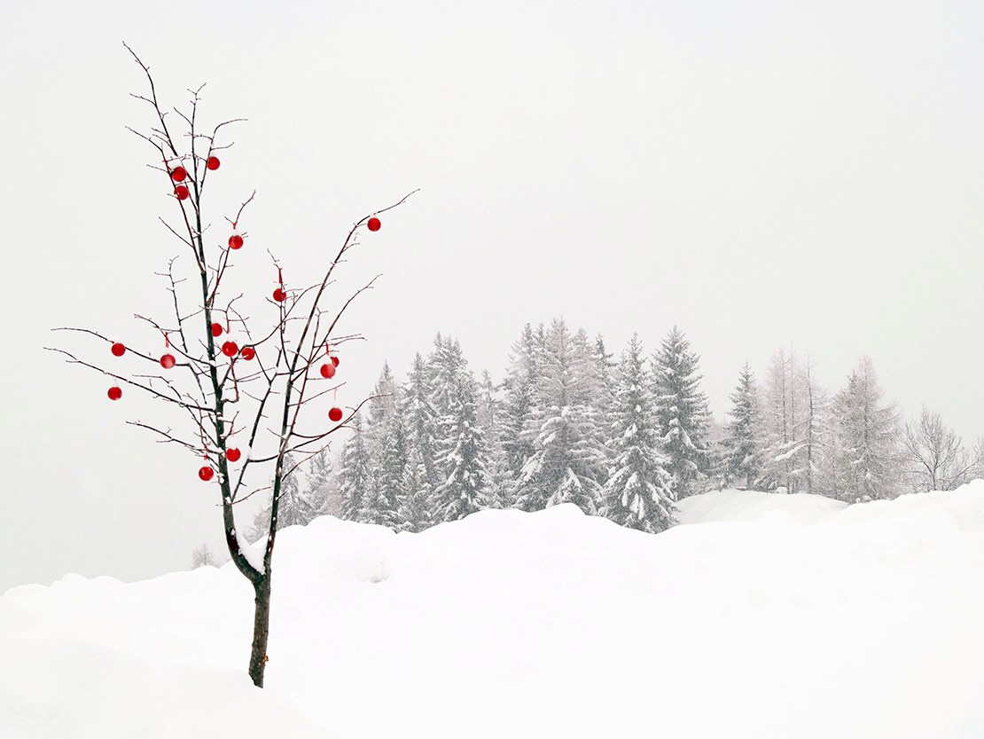 Landscape. Vasiliy Riabovol – Fine Art Photography | Zeit, Raum und Stille