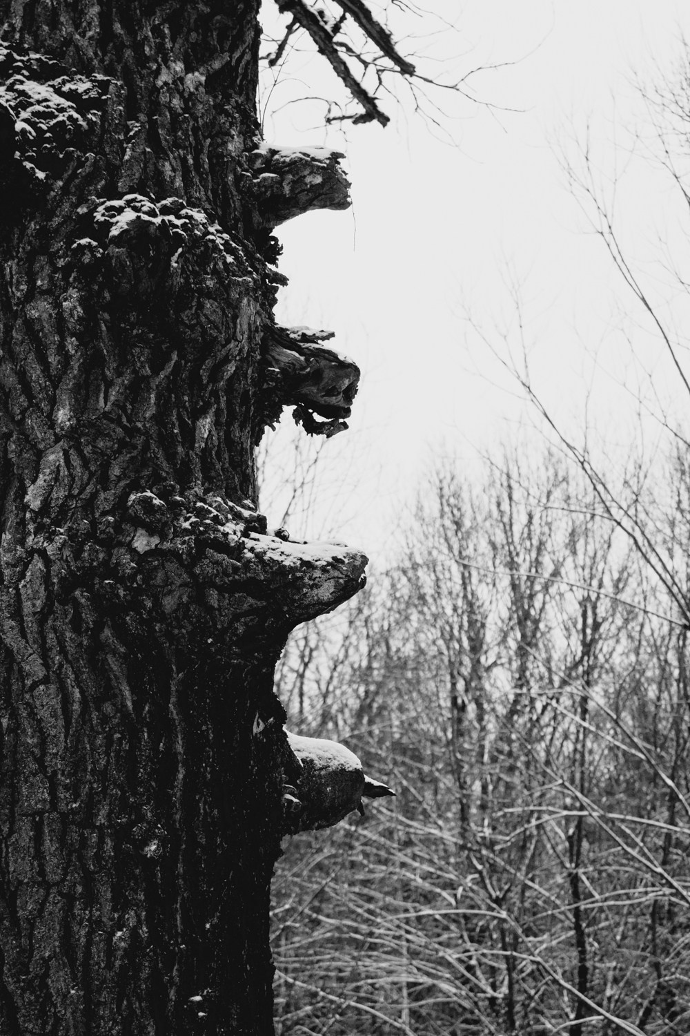 Уличная фотография каждый день