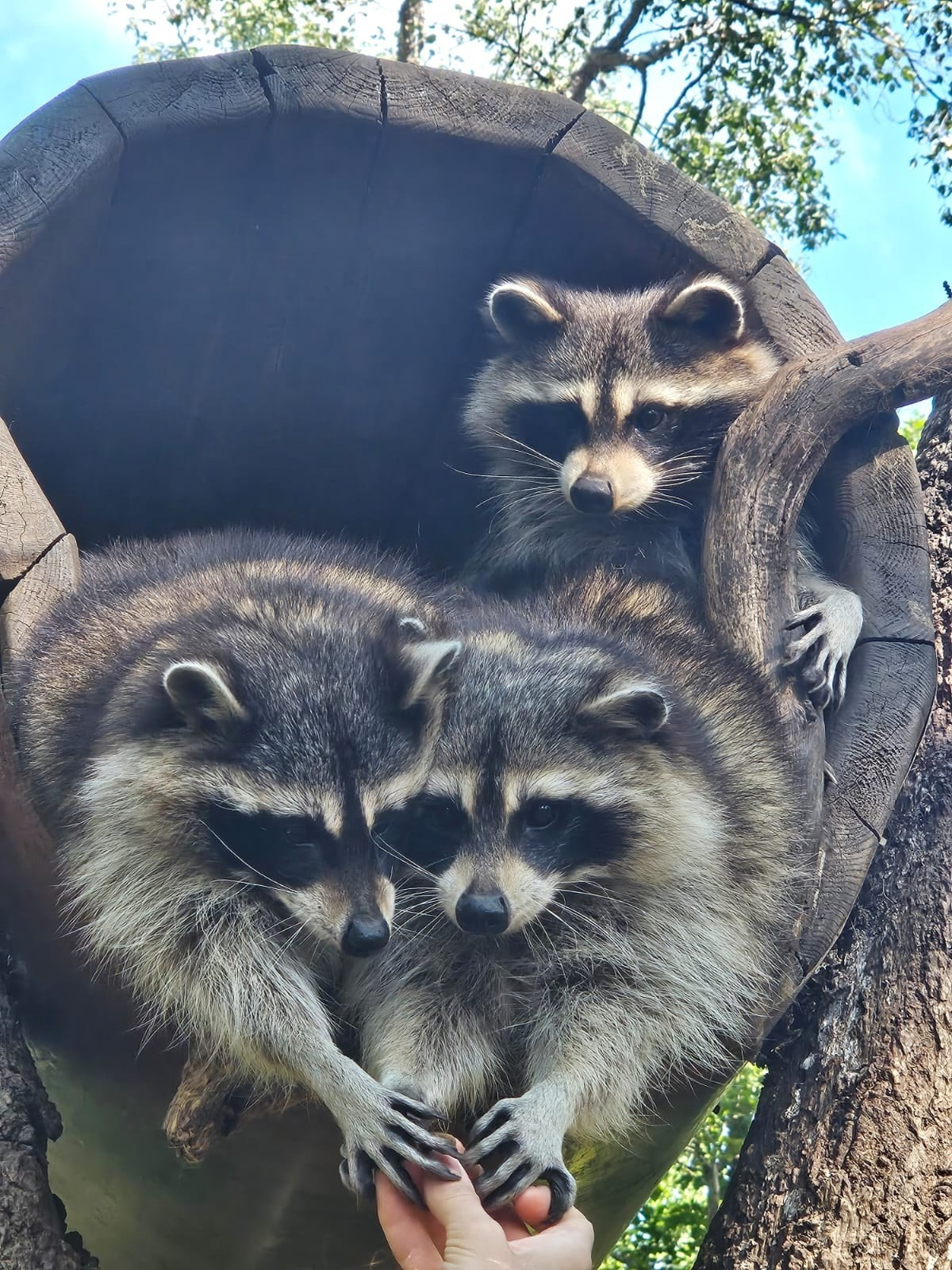 Владивосток 1 | 18-21.09.2025. Галерея Фантим