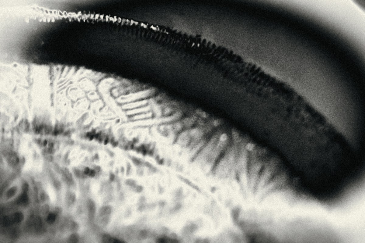 Everyday life. ПЕТР ПОПОВ | VISUAL ARTIST